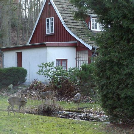 فيلا راندرسفي Skovvej Holiday House 1 المظهر الخارجي الصورة