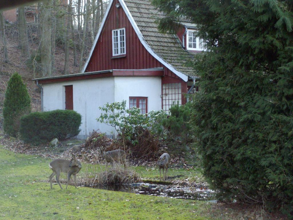فيلا راندرسفي Skovvej Holiday House 1 المظهر الخارجي الصورة